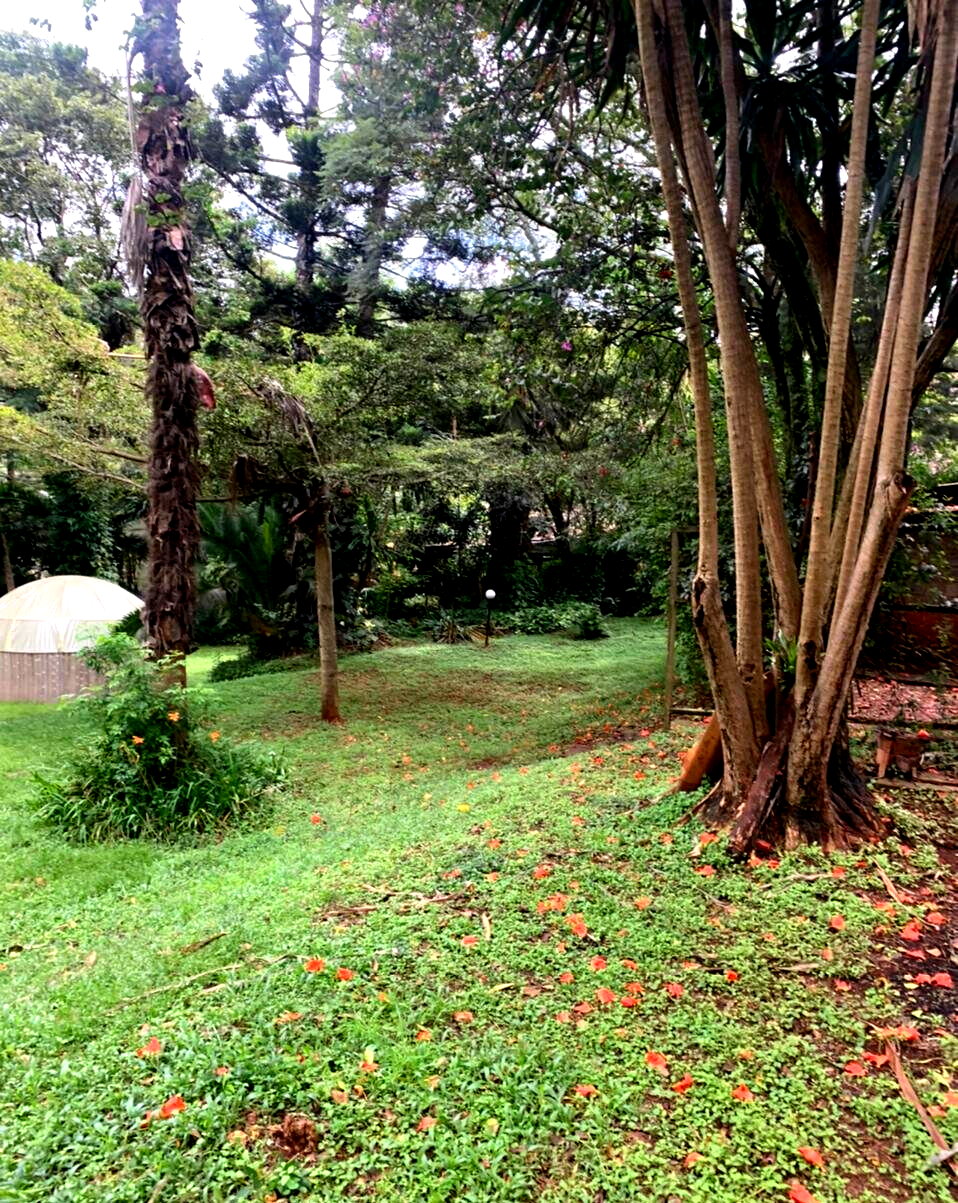 1.2-Acre Muthaiga Gem with Garden