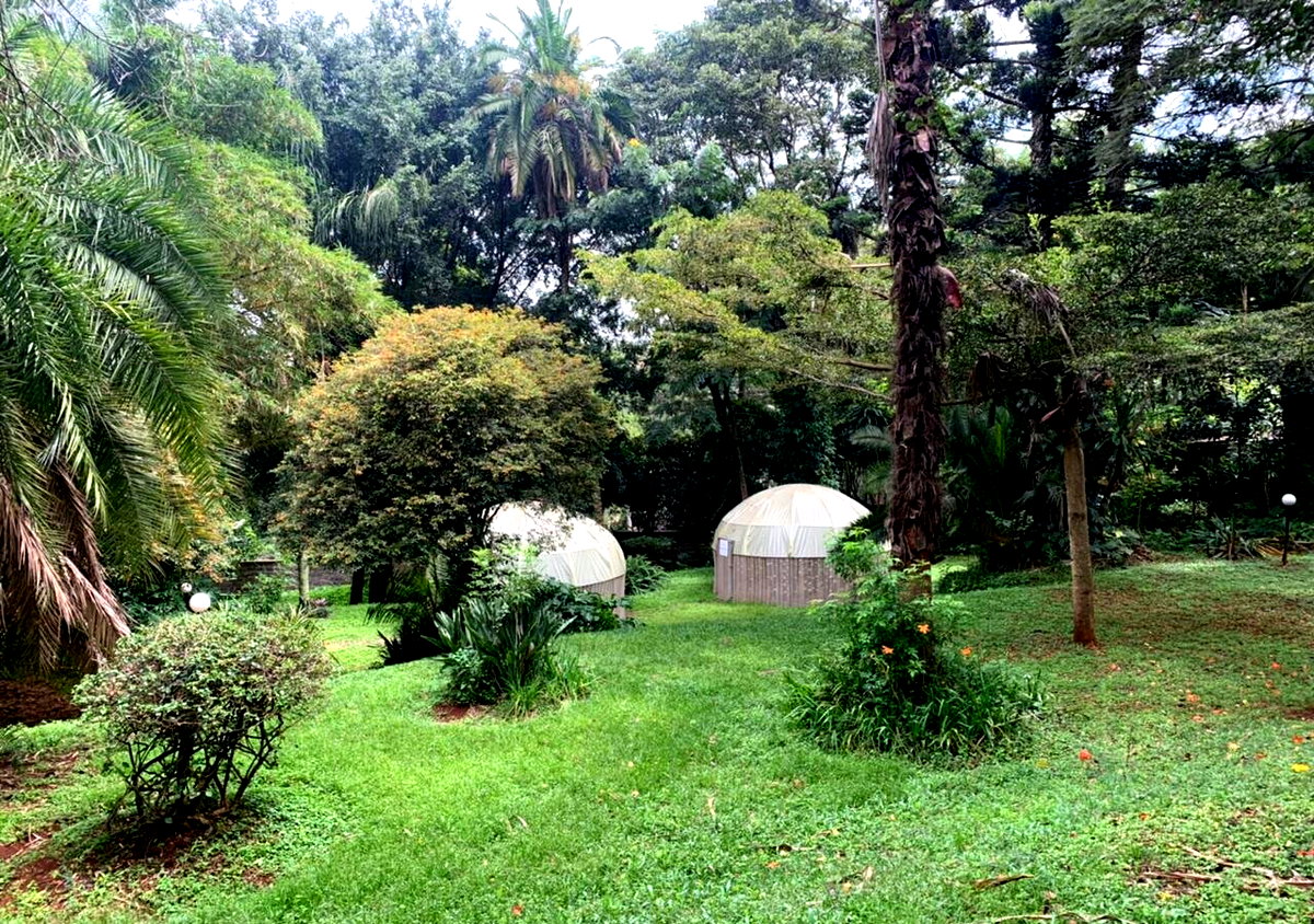 1.2-Acre Muthaiga Gem with Garden
