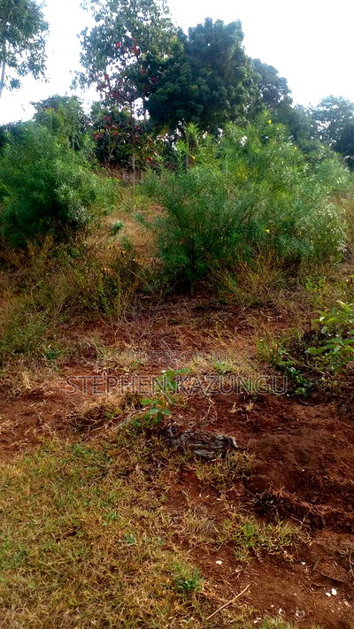 1/4 Acre Plot on Sale at Bongwe Area, in Ukunda. - Image 7