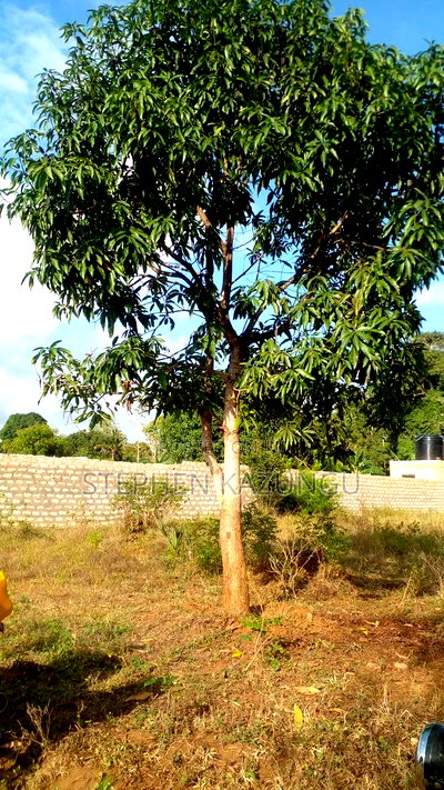 1/4 Acre Plot on Sale at Bongwe Area, in Ukunda. - Image 2