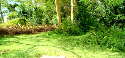 4.2-Acre Lake Elementaita Plot for Sale