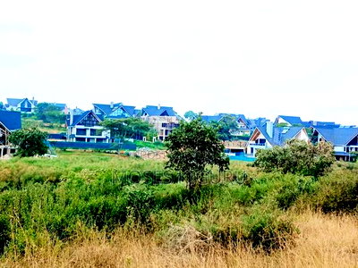 Mugutha Commercial 50x100 - Image 5