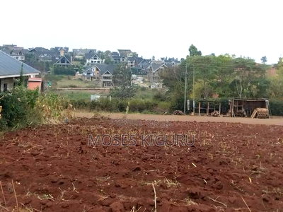 Mugutha Commercial 50x100 - Image 2