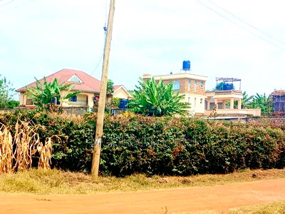 Mugutha Commercial 50x100 - Image 6