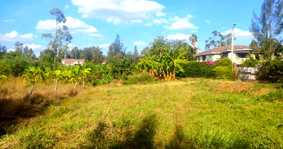 Half Acre Garden Plot with Parking - Thome
