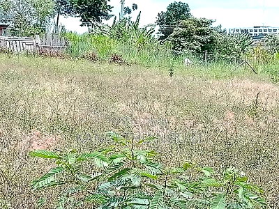 50x100 Plots Githunguri Town - Image 3