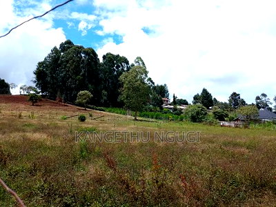 50x100 Plots Githunguri Town - Image 2