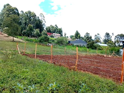 50x100 Plots Githunguri Town - Image 5