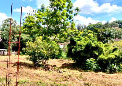 1-Acre Plot in Thigiri at KSh 150M
