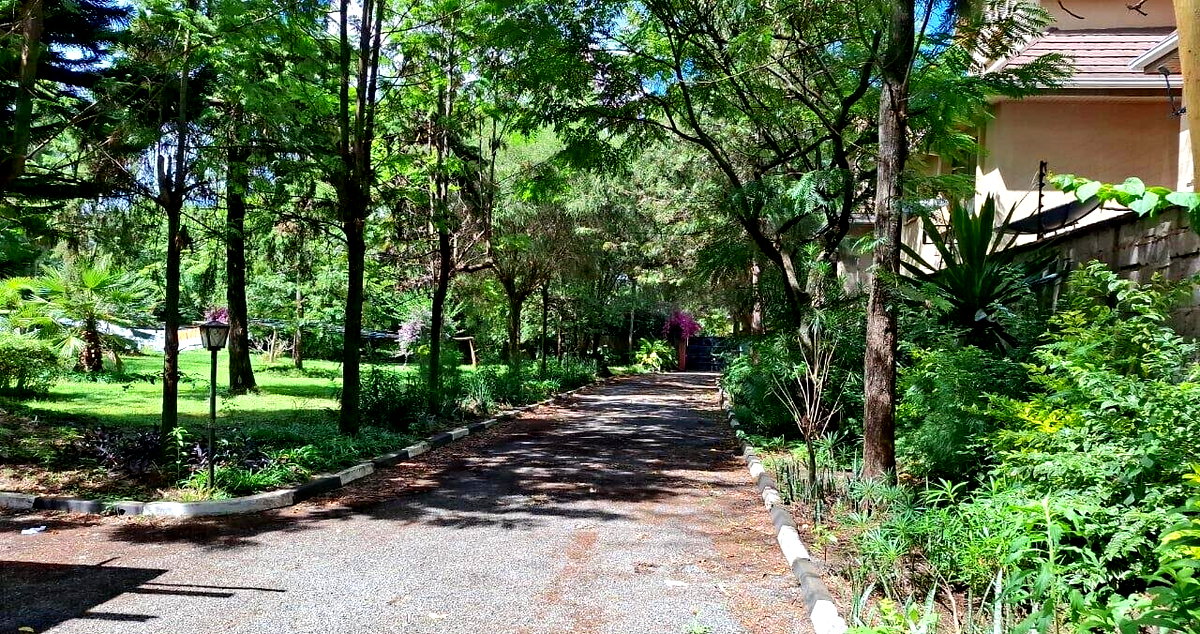 3/4 Acre Kileleshwa Plot for KSh 200M