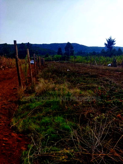 Own 50x100ft in Nachu - Deposit KSH Today! - Image 3