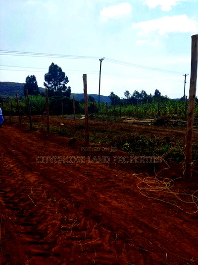 Own 50x100ft in Nachu - Deposit KSH Today! - Image 1