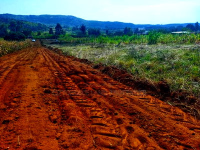 Own 50x100ft in Nachu - Deposit KSH Today! - Image 2