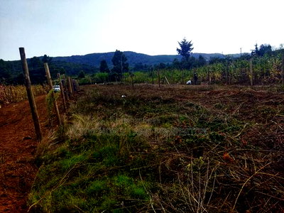 Own 50x100ft in Nachu - Deposit KSH Today! - Image 4