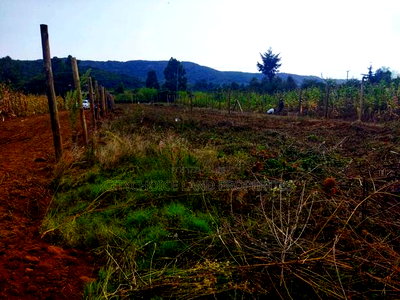 Own 50x100ft in Nachu - Deposit KSH Today! - Image 5