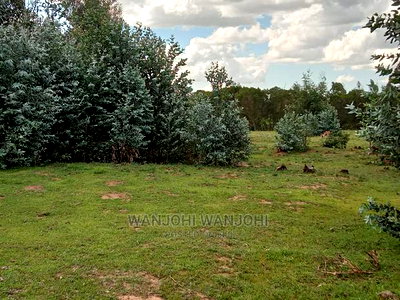 Very Prime Plots in Kasuku, Nyandarua - Image 1