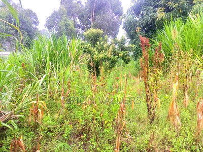 Limuru/Ngecha Plot for Sale Details - Image 6