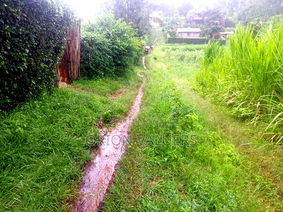 Limuru/Ngecha Plot for Sale Details - Image 4
