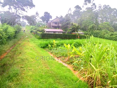 Limuru/Ngecha Plot for Sale Details - Image 8