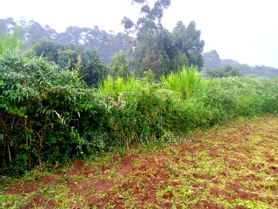 Limuru/Ngecha Plot for Sale Details - Image 2
