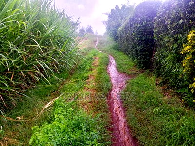 Limuru/Ngecha Plot for Sale Details - Image 3