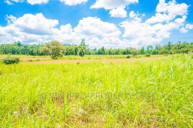 Prime Residential Plots For Sale In Kikuyu, Lusigetti.