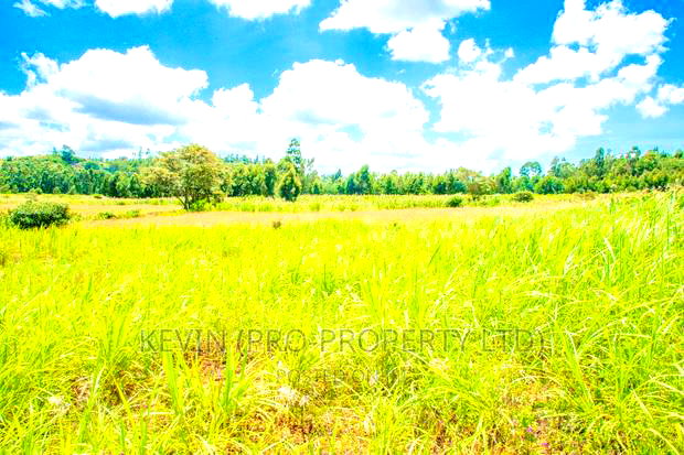 Prime Residential Plots For Sale In Kikuyu, Lusigetti.
