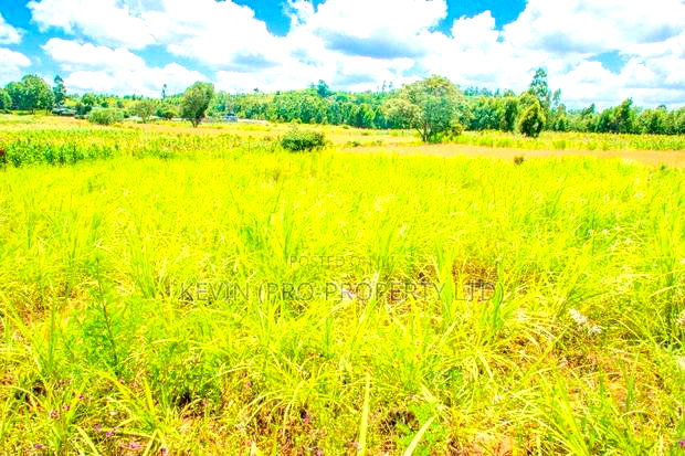 Prime Residential Plots For Sale In Kikuyu, Lusigetti.