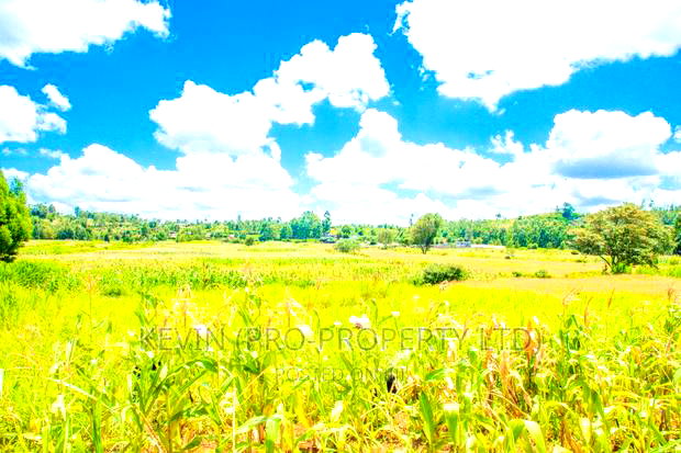 Prime Residential Plots For Sale In Kikuyu, Lusigetti.