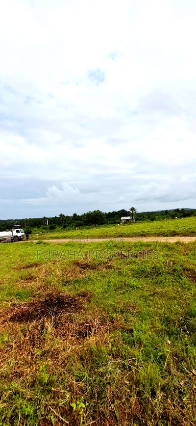 For Sale Eigth Acre Plots Dongo Kundu - Image 2