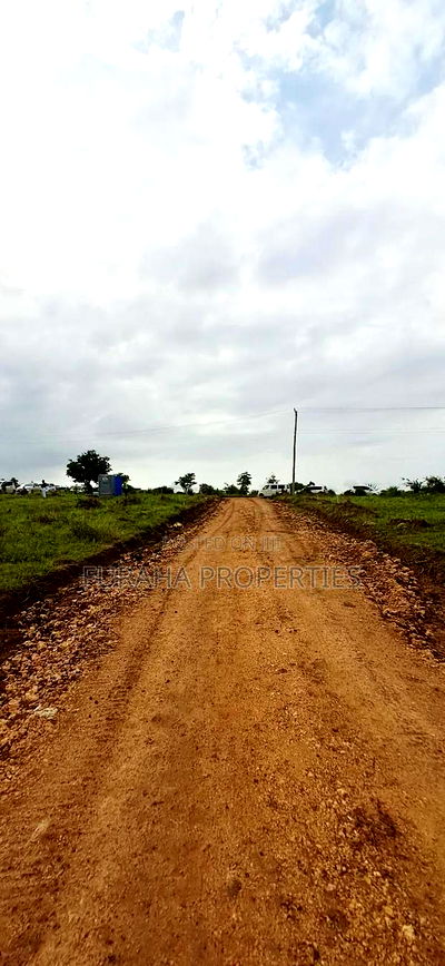 For Sale Eigth Acre Plots Dongo Kundu - Image 7