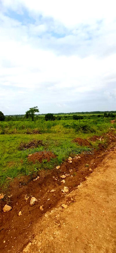 For Sale Eigth Acre Plots Dongo Kundu - Image 3