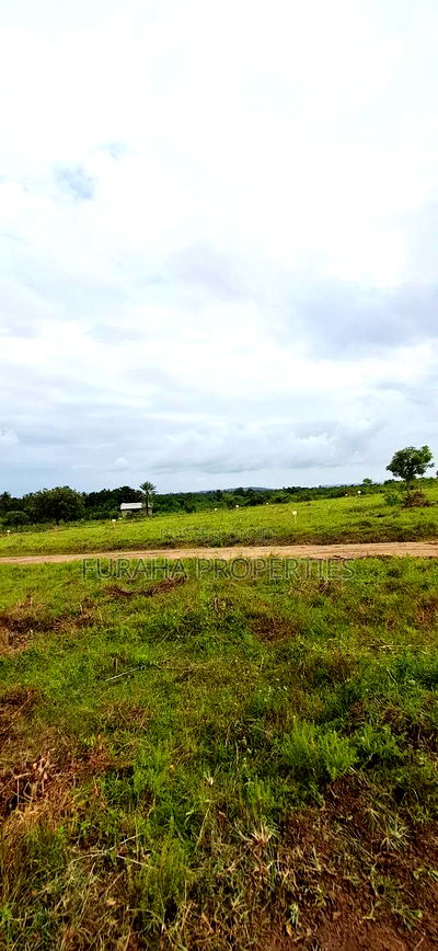 For Sale Eigth Acre Plots Dongo Kundu - Image 1