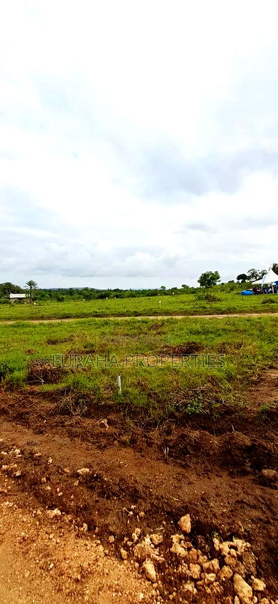 For Sale Eigth Acre Plots Dongo Kundu - Image 6