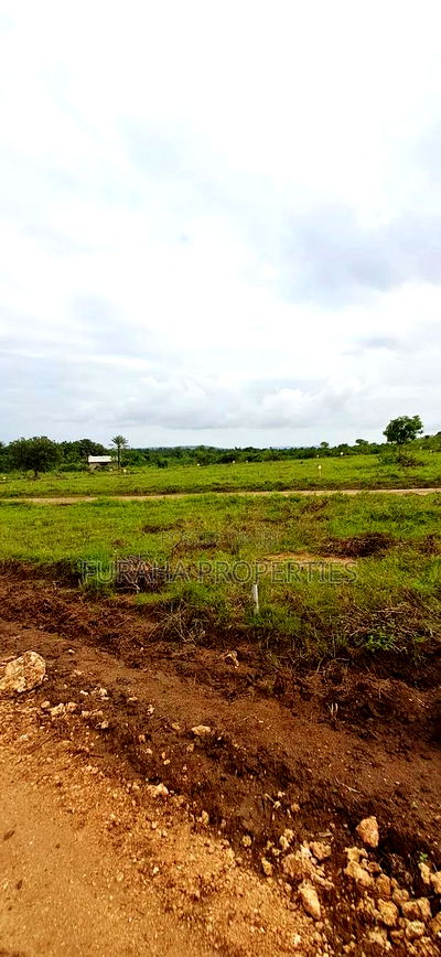 For Sale Eigth Acre Plots Dongo Kundu - Image 5