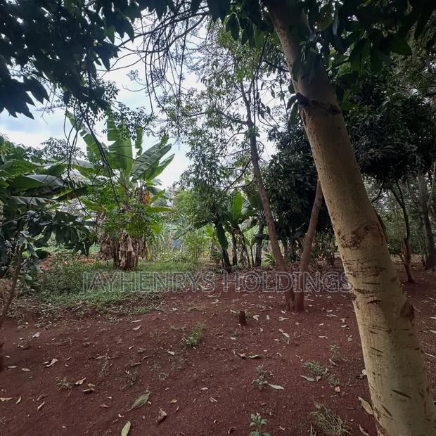 Half Acre Plot for Sale in Njathaini Road,Off Kiambu Rd at Kes 26m