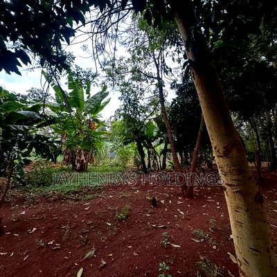 Half Acre Plot for Sale in Njathaini Road,Off Kiambu Rd at Kes 26m - Image 8