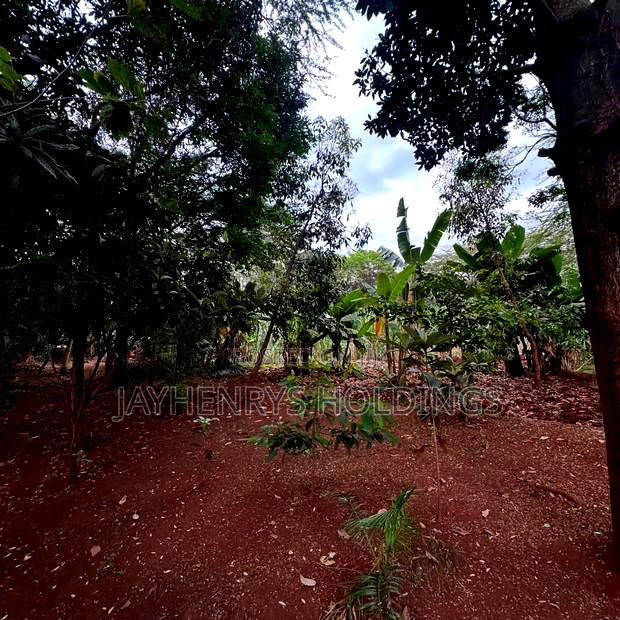 Half Acre Plot for Sale in Njathaini Road,Off Kiambu Rd at Kes 26m