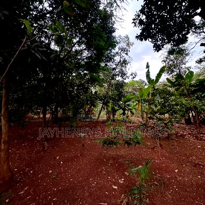 Half Acre Plot for Sale in Njathaini Road,Off Kiambu Rd at Kes 26m - Image 10