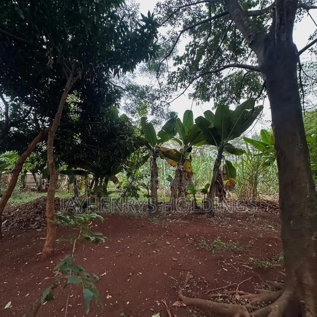 Half Acre Plot for Sale in Njathaini Road,Off Kiambu Rd at Kes 26m