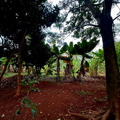 Half Acre Plot for Sale in Njathaini Road,Off Kiambu Rd at Kes 26m - Image 9