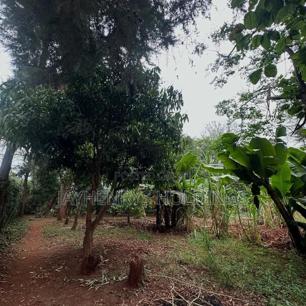 Half Acre Plot for Sale in Njathaini Road,Off Kiambu Rd at Kes 26m