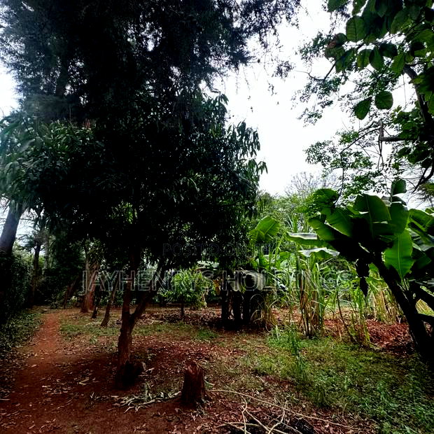 Half Acre Plot for Sale in Njathaini Road,Off Kiambu Rd at Kes 26m