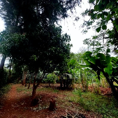 Half Acre Plot for Sale in Njathaini Road,Off Kiambu Rd at Kes 26m - Image 3