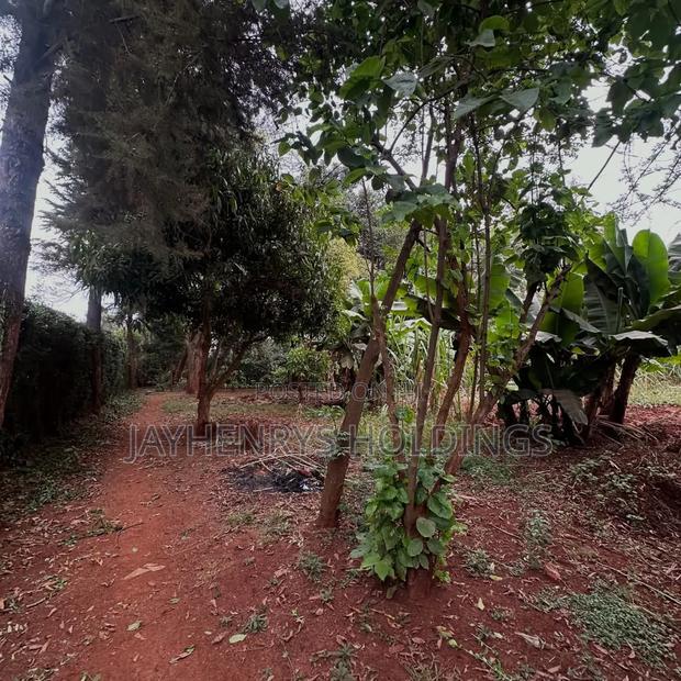 Half Acre Plot for Sale in Njathaini Road,Off Kiambu Rd at Kes 26m