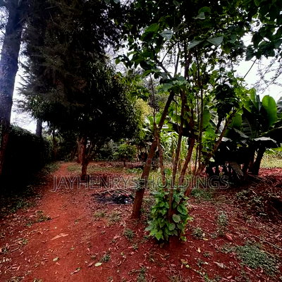 Half Acre Plot for Sale in Njathaini Road,Off Kiambu Rd at Kes 26m - Image 6
