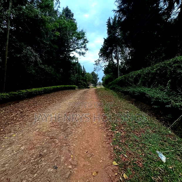Half Acre Plot for Sale in Njathaini Road,Off Kiambu Rd at Kes 26m