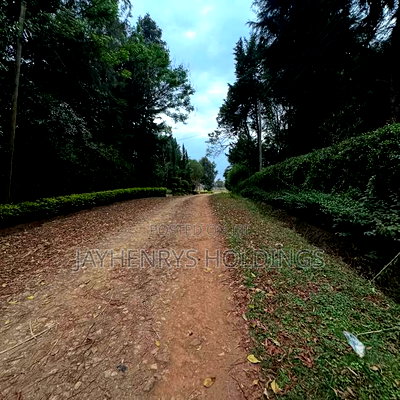 Half Acre Plot for Sale in Njathaini Road,Off Kiambu Rd at Kes 26m - Image 1