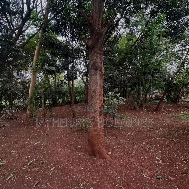Half Acre Plot for Sale in Njathaini Road,Off Kiambu Rd at Kes 26m