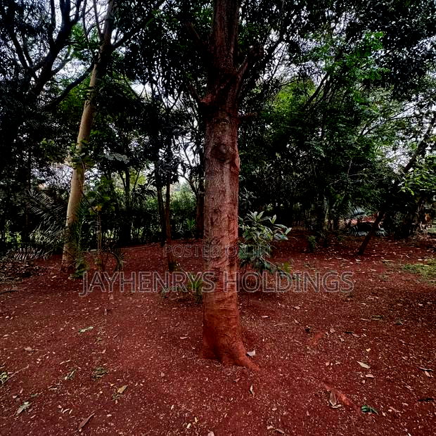 Half Acre Plot for Sale in Njathaini Road,Off Kiambu Rd at Kes 26m